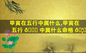 甲寅在五行中属什么,甲寅在五行 🐎 中属什么命格 🦊